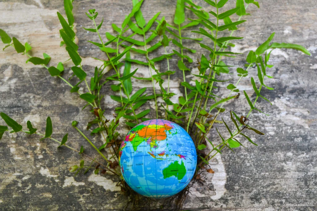 globe and plants for esg concept 2026 01 05 00 22 21 utc